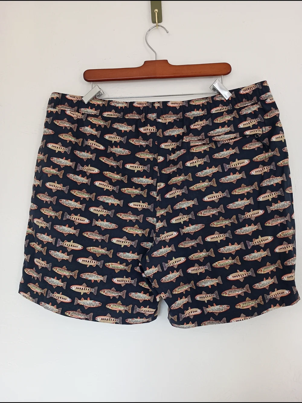 The North Face Class V Flash Dry Fish Print Water Mens Pull On Shorts